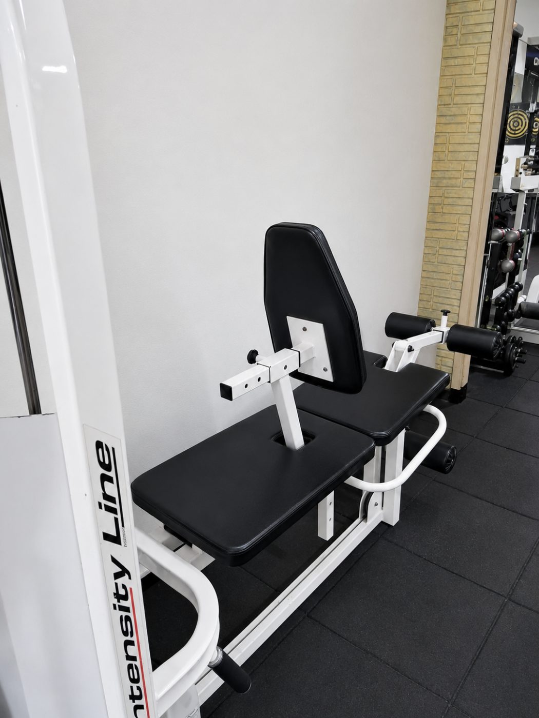Banco e aparelhos de musculação alinhados na parede da sala