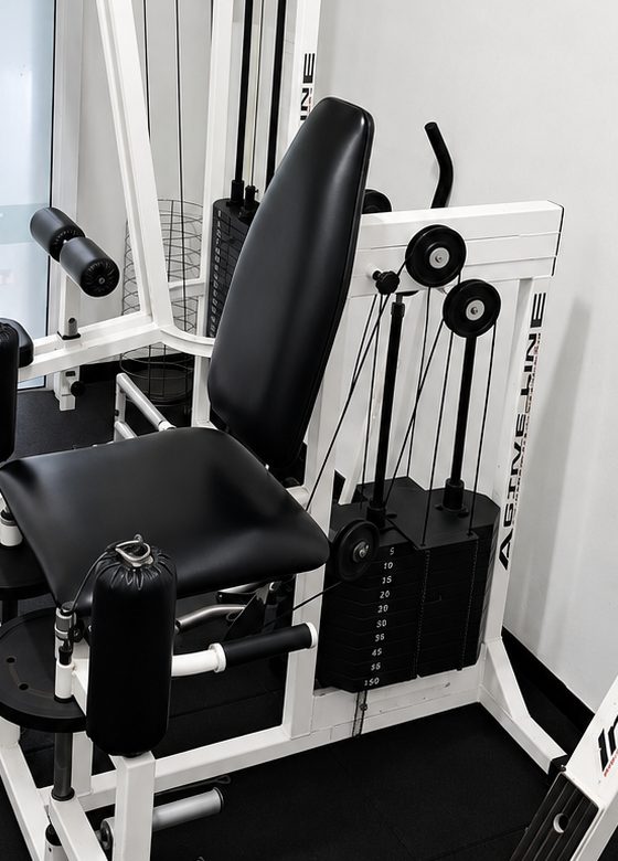 Cadeira extensora com placa de pesos numerada — Cia Postural
